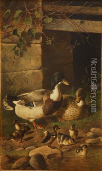 Patos Junto A Un Estanque. Oil Painting - Federico Jimenez Nicanor