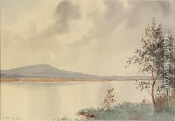 Lake View Oil Painting - Douglas Alexander