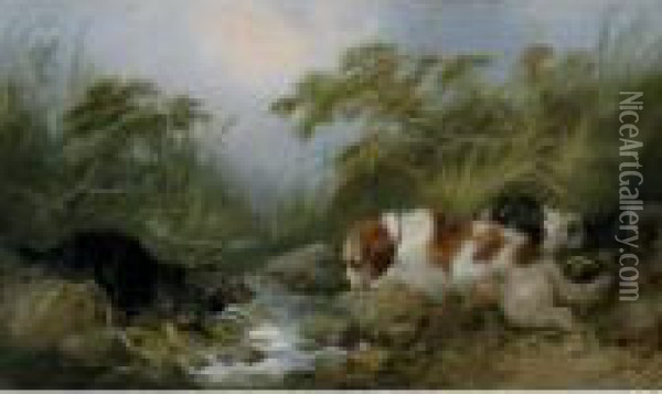 Three Dogs By A Brook Oil Painting - George Armfield