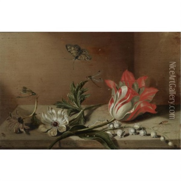 A Still Life With A Tulip, Anemones, Lily-of-the-valley, A Caterpillar, A Butterfly And Other Insects On A Wooden Ledge Oil Painting - Jacob Marrel