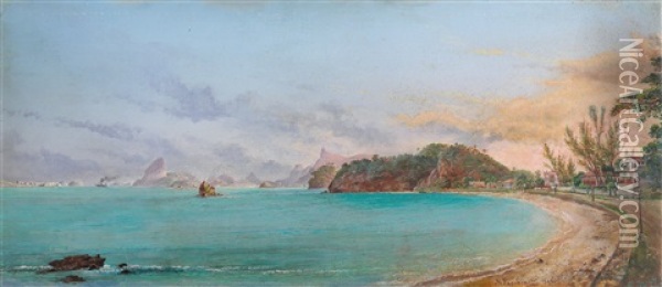 Blick In Eine Bucht Bei Rio De Janeiro Oil Painting - Nicolau Antonio Facchinetti