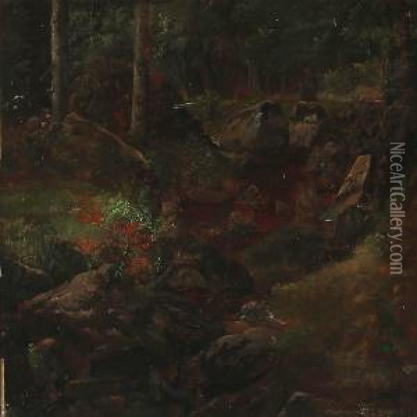Forest Floor With A Stream Oil Painting - Carl Christian Frederik Jacob Thomsen