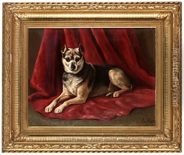 Hund Mot Rott Draperi Oil Painting - Johan-Gustaf von Holst