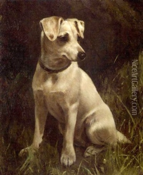 Study Of A Terrier Oil Painting - William Osborne