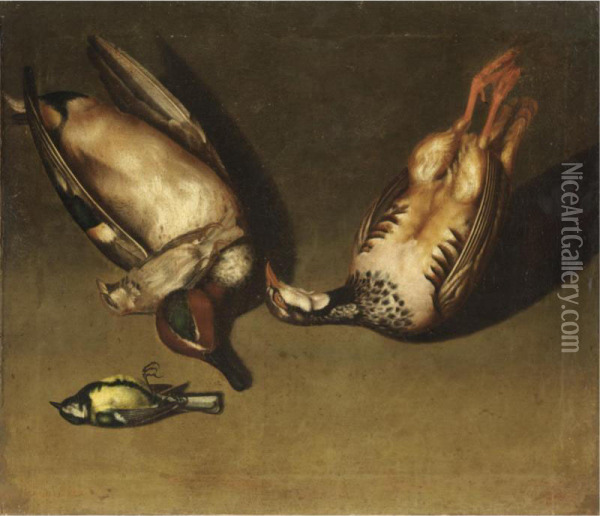 Natura Morta Di Cacciagione Oil Painting - Vincenzo Campi