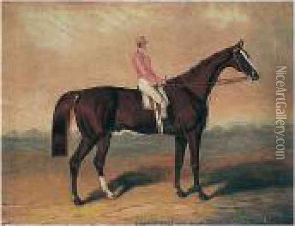 Birdcatcher, With Jockey Up Oil Painting - Samuel Spode