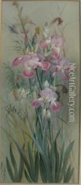 Irises Oil Painting - Marian Ellis Rowan