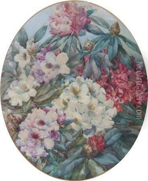 Pink And White Rhododendrons Oil Painting - Marie Hensley