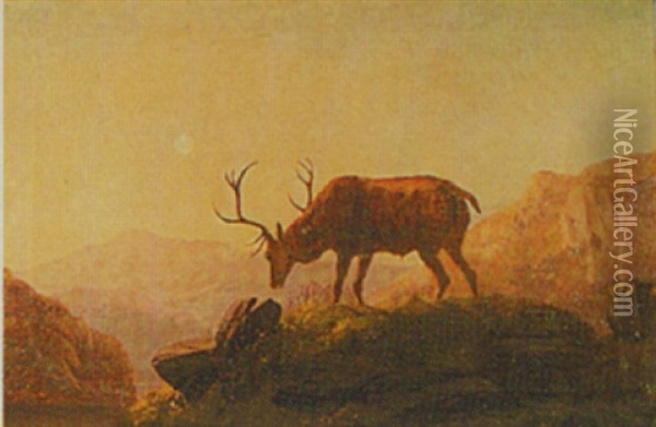 Stag On A Hillside At Dusk Oil Painting - Robert Henry Roe