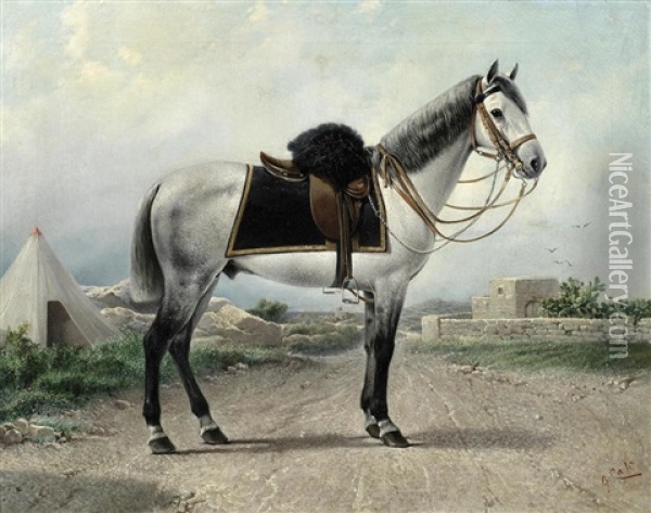Portrait Of An Officer's Grey Charger, Almost Certainly Of The 10th (duke Of Cambridge's Own) (bengal) Lancers, Malta Oil Painting - Giuseppe Cali