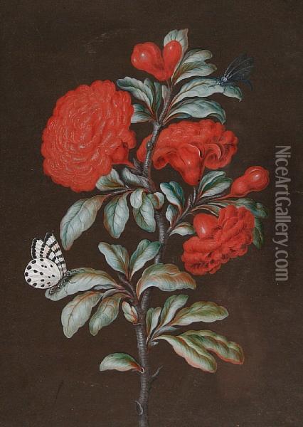 Red Chrysanthemums With A Chequered Bluebutterfly Oil Painting - Barbara Regina Dietzsch
