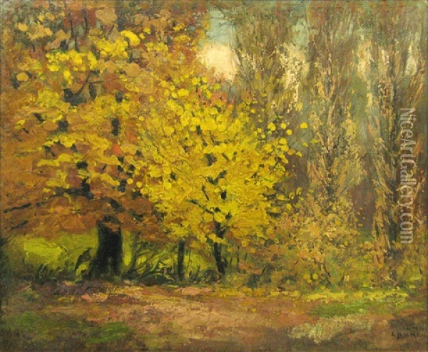 Autumn In The Forest Oil Painting - Kimon Loghi