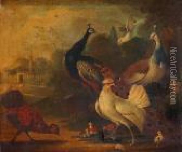 Peacock And Exotic Farmyard Birds Oil Painting - Marmaduke Cradock