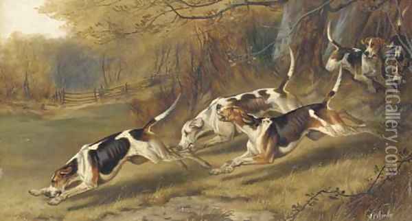 Hounds at full cry Oil Painting - Alfred Wheeler