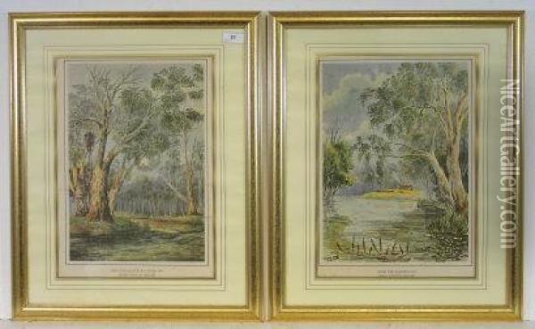 Red Gums Goulburn River Oil Painting - James Knox