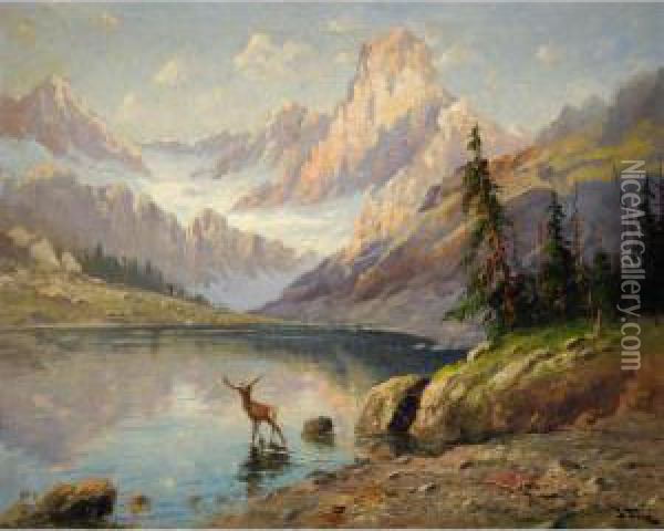 Rocky Mountain Elk Oil Painting - John Fery