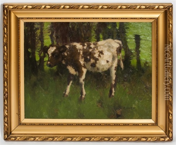 Quiet Calf Oil Painting - David Gauld