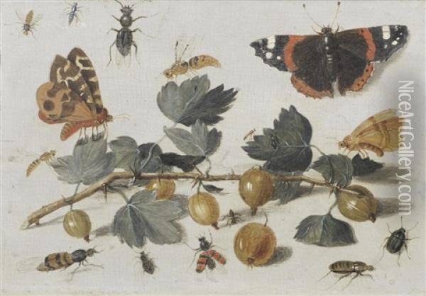 Butterflies, Insects And Gooseberries Oil Painting - Jan van Kessel the Elder