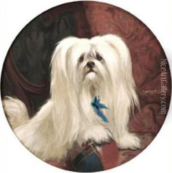 A Maltese Terrier Playing With A Ball Oil Painting - George Earl