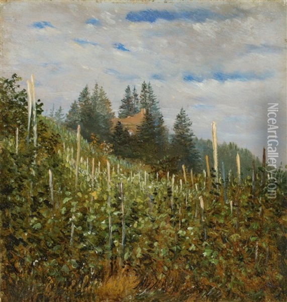 Vinyard In Pillnitz In Early Summer Oil Painting - Carl Gustav Carus