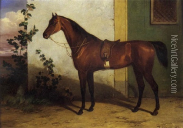 Cavallo Sellato Oil Painting - Conradyn Cunaeus
