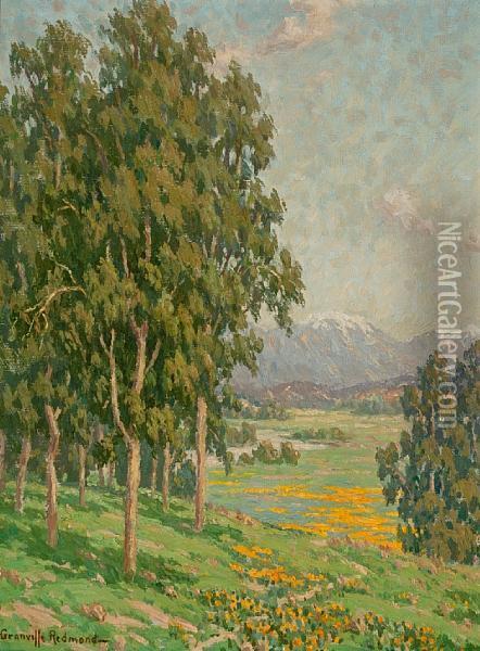 California Wildflowers And Distant Snow-capped Mountains Oil Painting - Granville Redmond