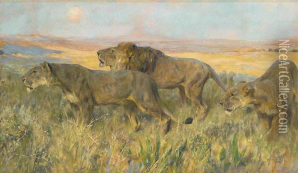 Lions At Sunset Oil Painting - Arthur Wardle