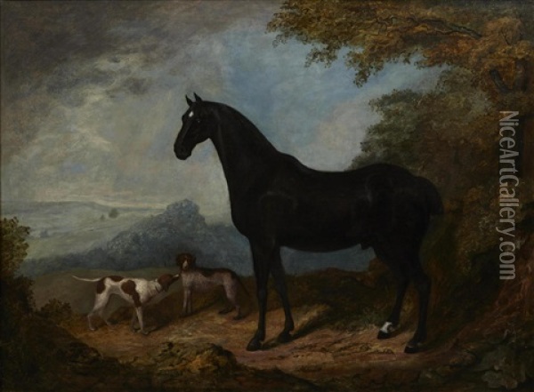 A Horse And Dogs In A Landscape Oil Painting - John Nost Sartorius