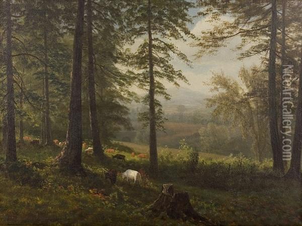 View To A Clearing Oil Painting - Albert Bierstadt