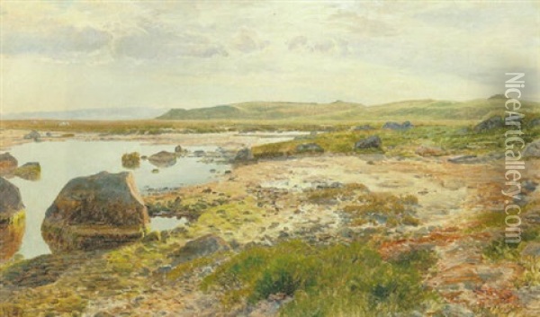 Strand Ved Helgenaes Oil Painting - Janus la Cour
