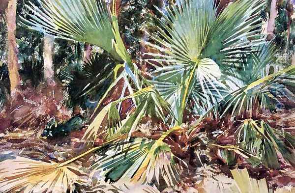 Palmettos, Florida Oil Painting - John Singer Sargent