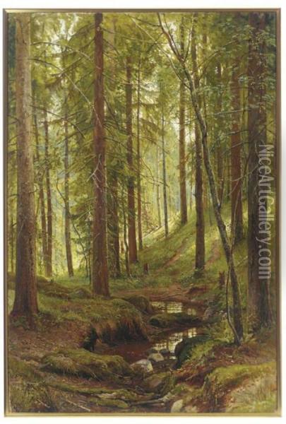 Stream By A Forest Slope Oil Painting - Ivan Shishkin