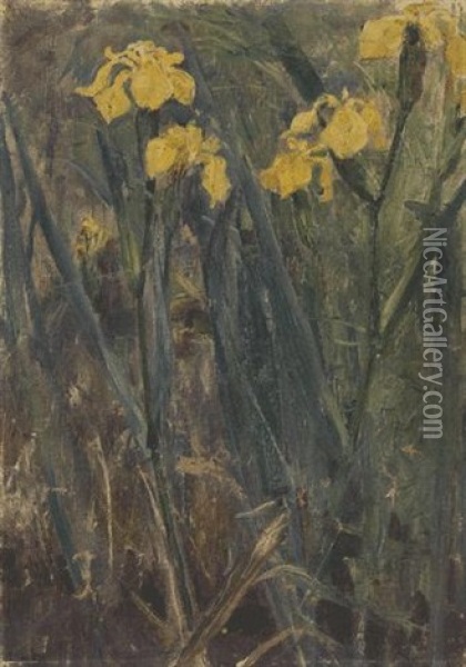 Gelbe Sumpflilien Oil Painting - Ludwig Von Hofmann