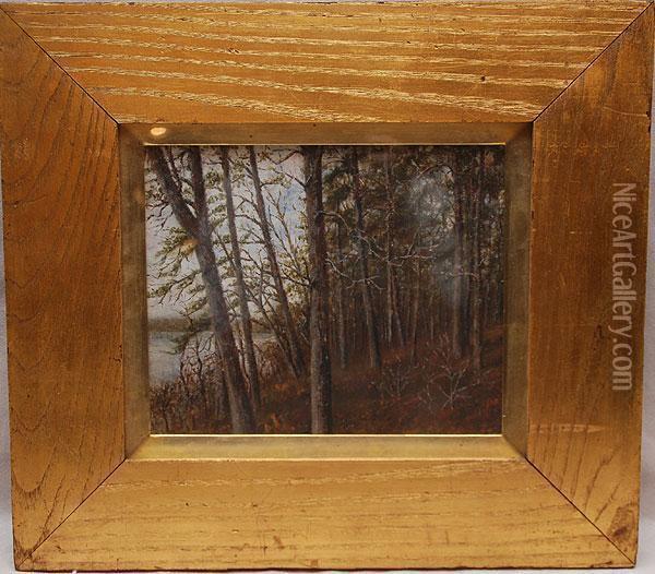 A Small Study For Trees Along The Susquehanna River Oil Painting - George Hetzel