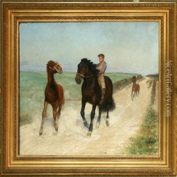 A Young Lad Catches The Wild Horse Oil Painting - Niels Pedersen Mols