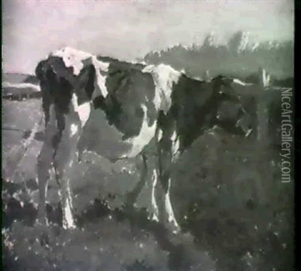 Lone Cow In A Field Oil Painting - Anton Mauve