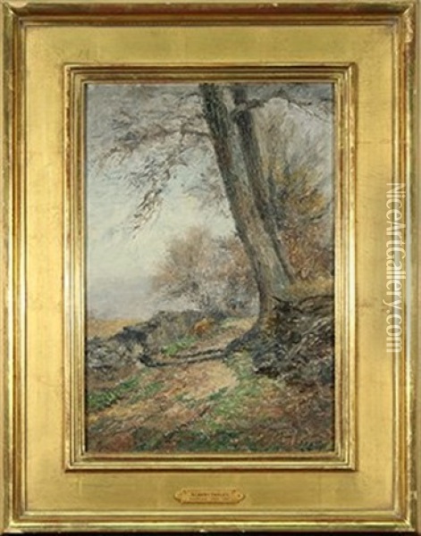 Path Thru The Woods Oil Painting - Albert Babb Insley