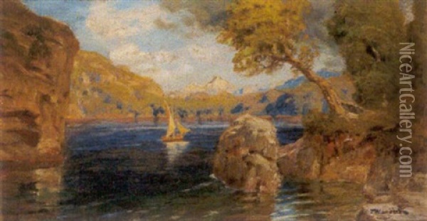 Motiv Am Luzerner See (schweiz) Oil Painting - Anton Hlavacek