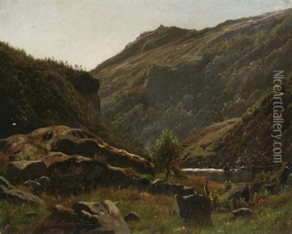 Im Sommerlichen Hochgebirge Oil Painting - Johannes Bartholomaeus Duntze