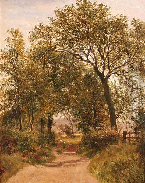 A Country Lane Oil Painting - David Bates