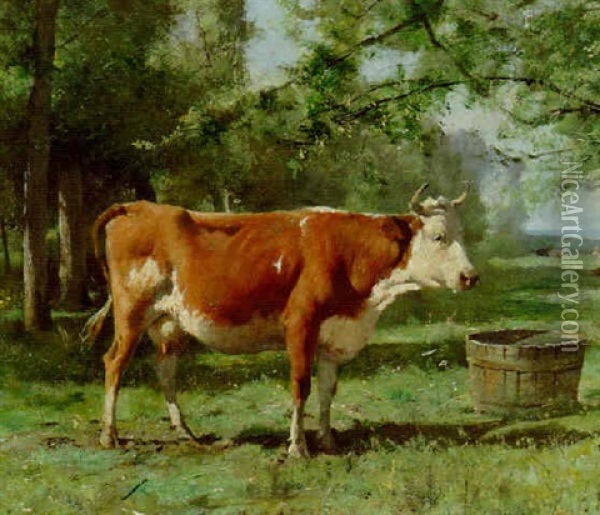 A Cow In A Sunny Meadow Oil Painting - Julien Dupre