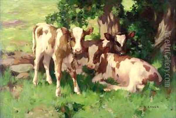 Three Calves in the Shade of a Tree Oil Painting - David Gauld