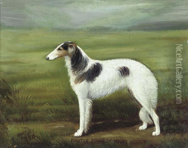 Brutus, Pride Of Mount Vernon Oil Painting - Henry Crowther