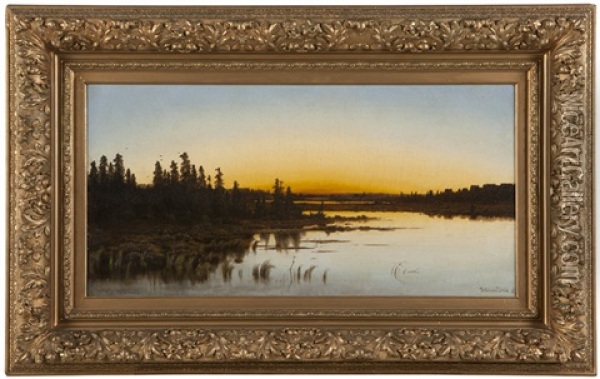 Marsh Landscape At Sunset Oil Painting - Willibald Wex