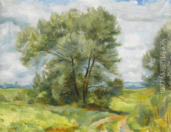 Sommerlicher Weg Oil Painting - Robert Amrein