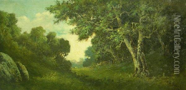 Corral De Tierra, Monterey County, California Oil Painting - Alphonso Herman Broad