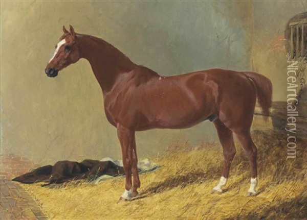 A Bay Racehorse In A Stall Oil Painting - Charles Baxter