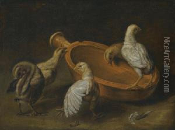 Five Chicks Assembled Around A Bowl Of Water Oil Painting - Jacomo (or Victor, Jacobus) Victors
