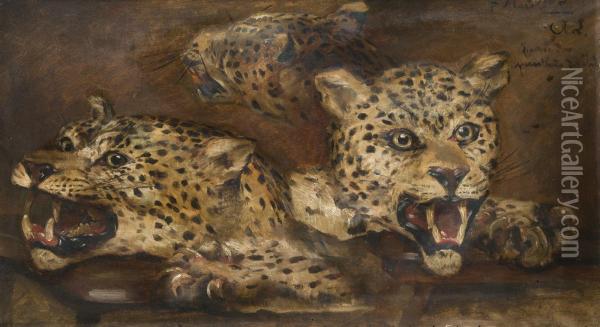 Trois Etudes De Tetes De Pantheres Oil Painting - Auguste Andre Lancon
