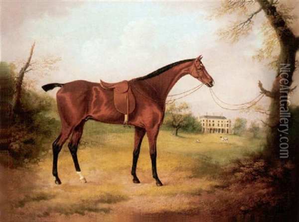 A Saaddled Bay Hunter In The Grounds Of Bryn-y-pys, Flintshire Oil Painting - Daniel Clowes
